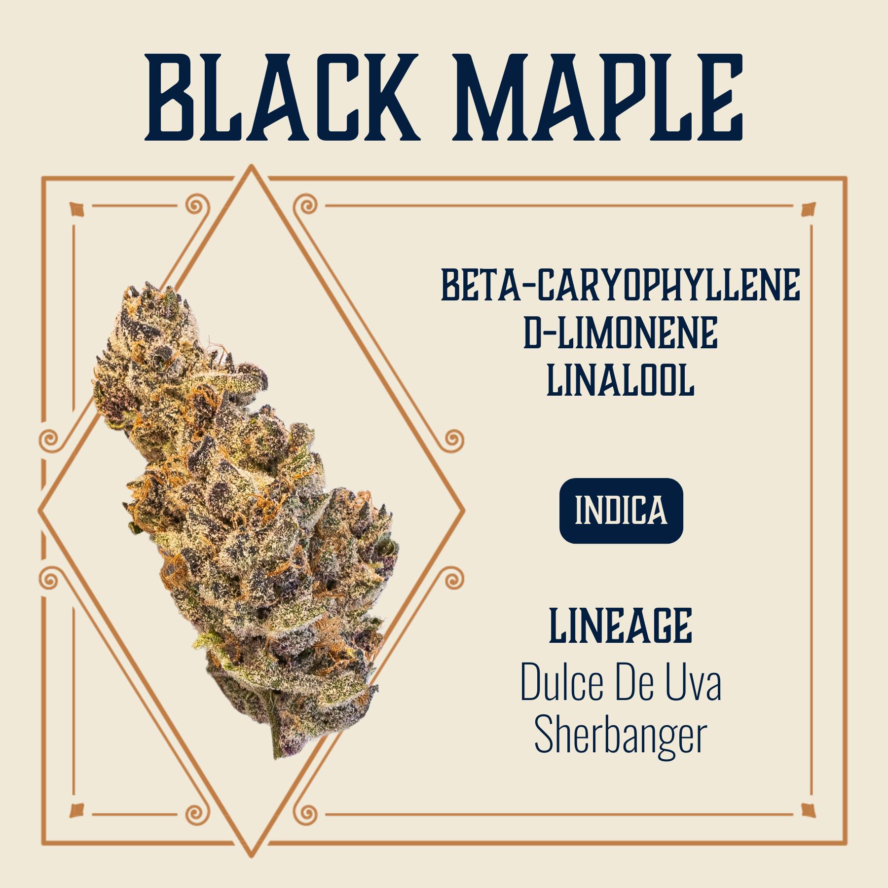 Elevate: Flower | Black Maple