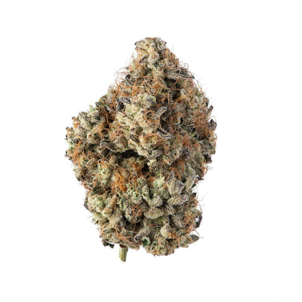 GDF: Flower | Succulent Squeeze