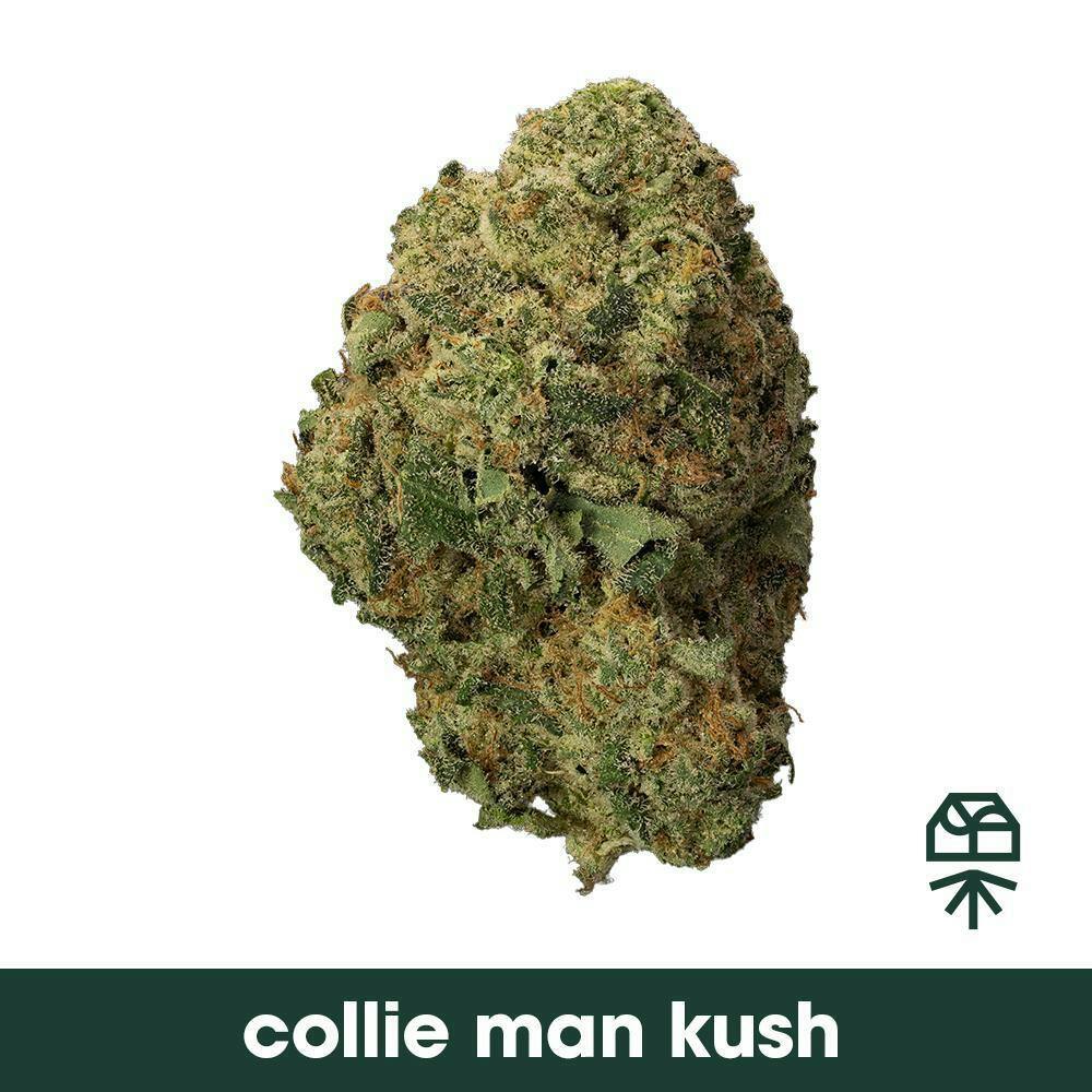 Grassroots Collie Man Kush Whole Flower 3.5g