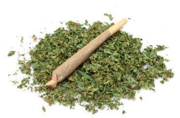 Slapz at In the Weeds