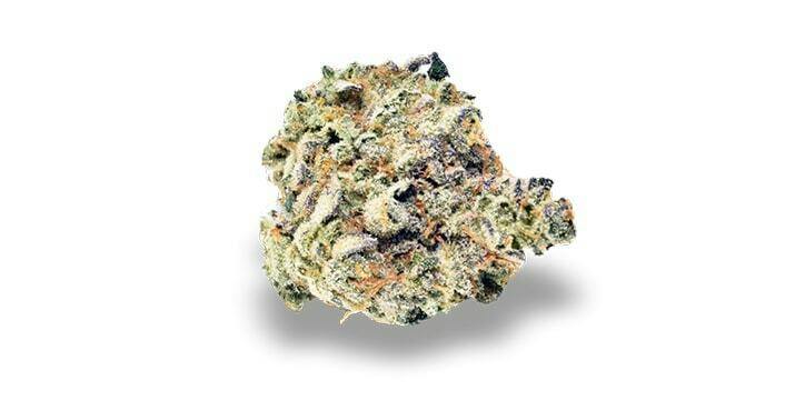 Matrix: Secret Stash - Nimbus Snacks (14G)