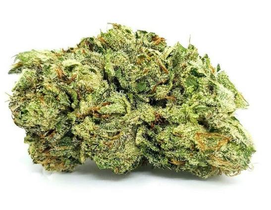 Mojo: Secret Stash - Cream Cheese (14G)