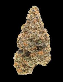 Grower Circle - Gelato