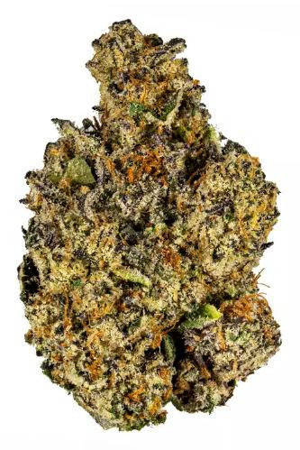 Polaris - Cherry Shortbread (3.5G)