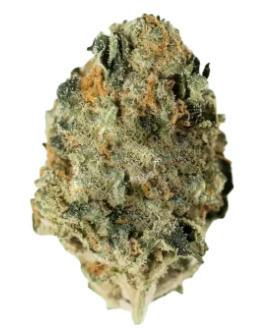 Gold Leaf: Secret Stash - Lemon Cherry Fire (14G)