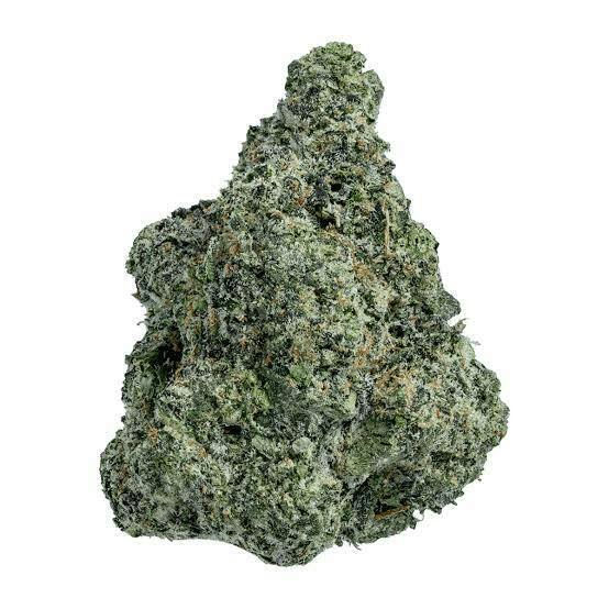 Gold Leaf: Secret Stash - Presidential Runtz (14G)