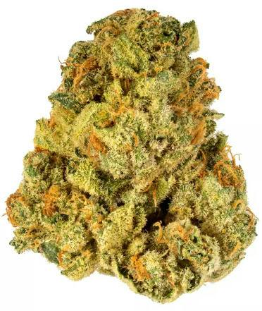 Baseline: Secret Stash - Lemon Butter (14G)