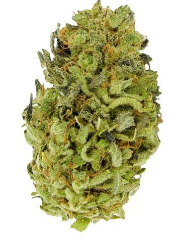Matrix: Secret Stash - Banana Cream Sundae (14G)