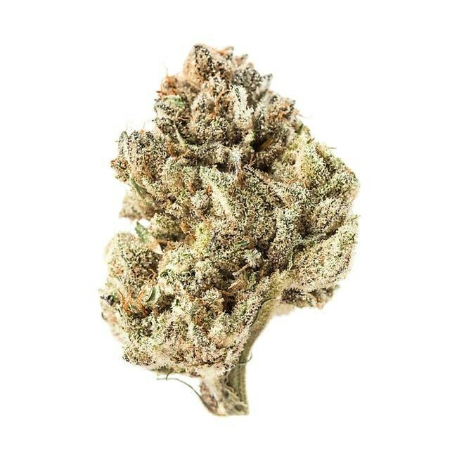 Matrix: Secret Stash - Sugar Tits (14G)