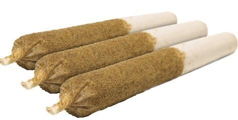 GENERAL ADMISSION-Distillate Infused Pre-Roll Taster Pack? 3x0.5g Hybrid