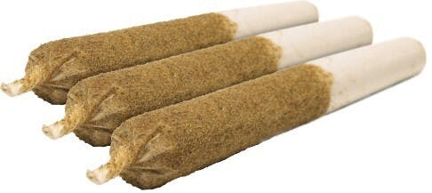 GENERAL ADMISSION-Tiger Blood Distillate Infused Indica Pre-Roll 3x0.5g