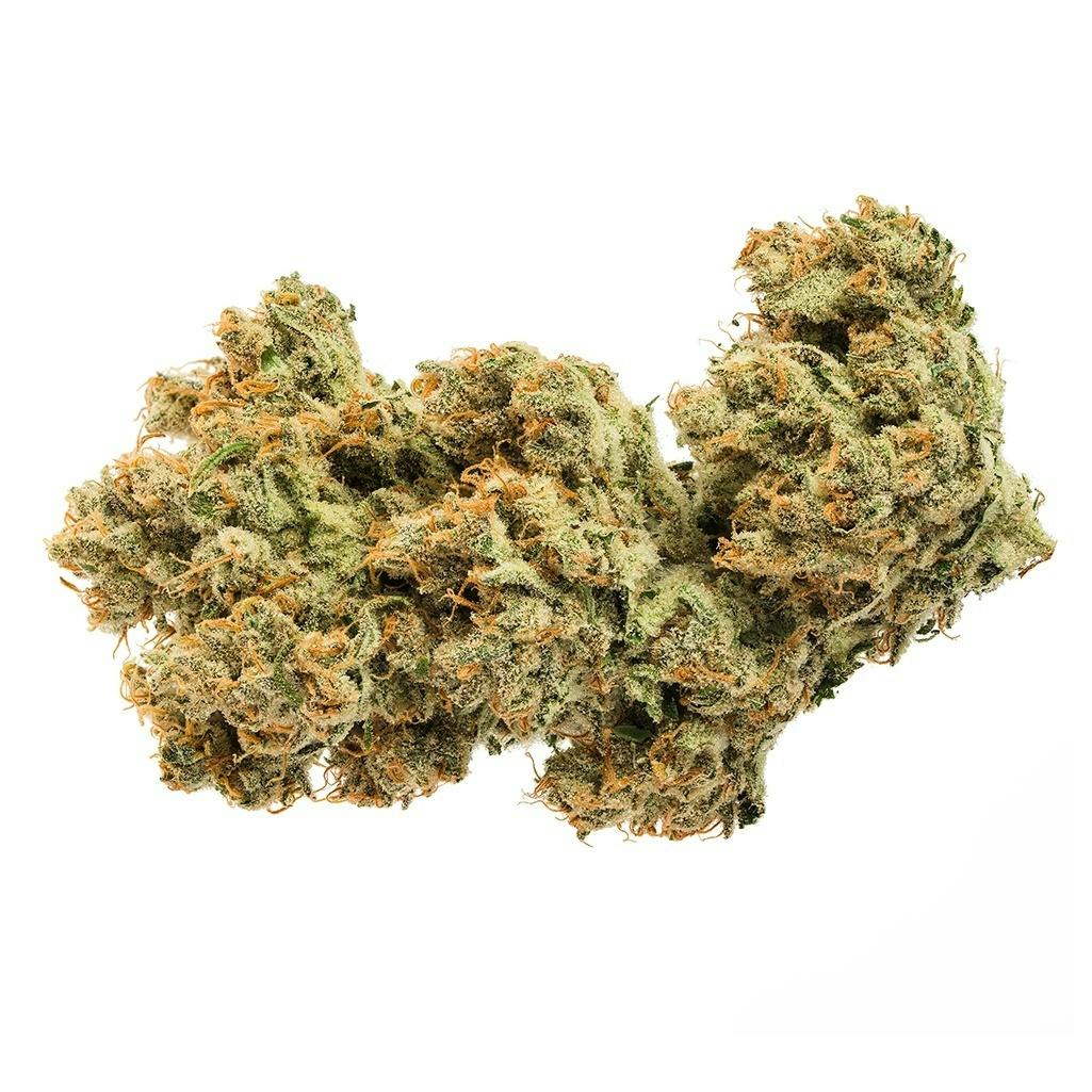 JONNY CHRONIC Acapulco Gold Sativa 14g
