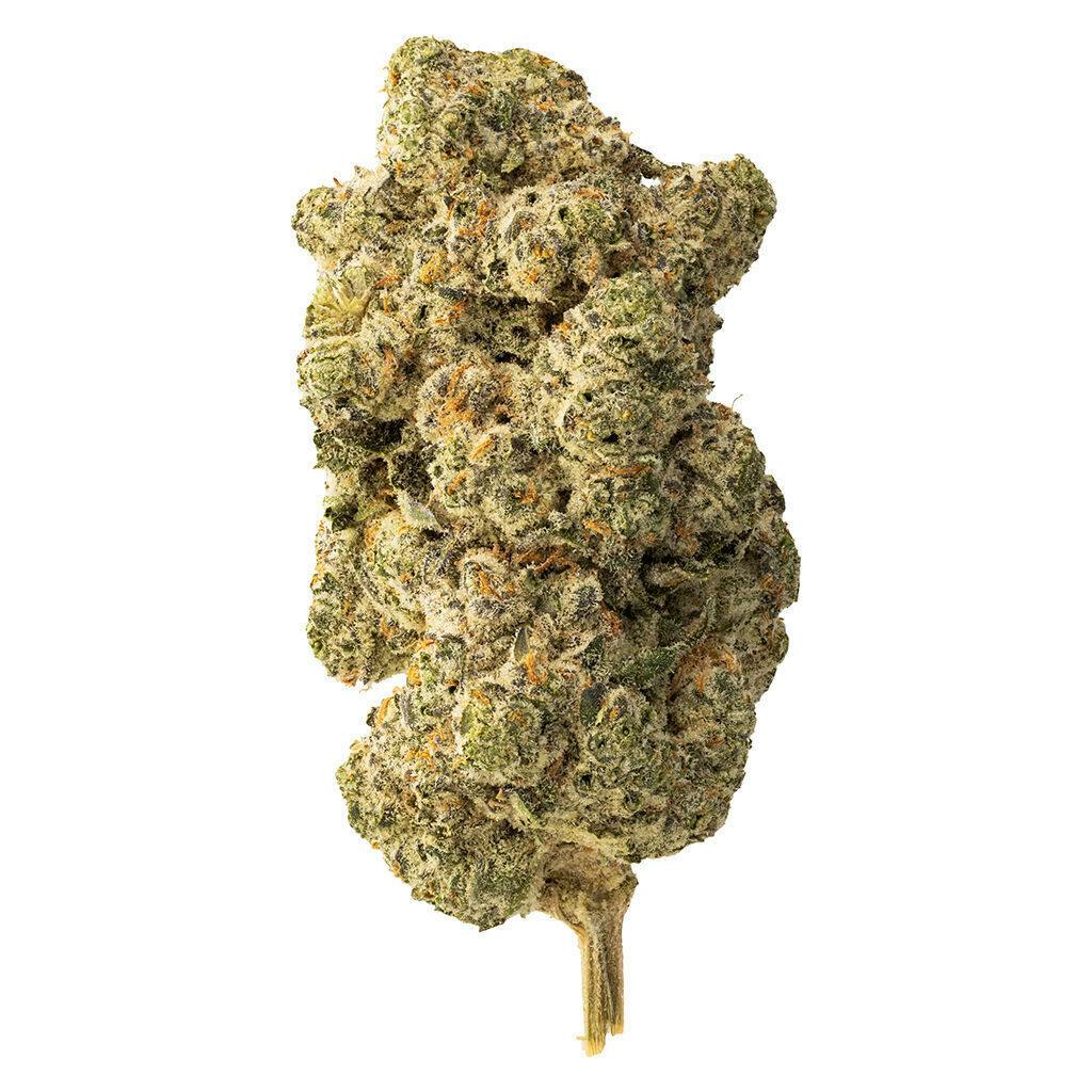 The Loud Plug - Lemon Gelato - Hybrid - 7g