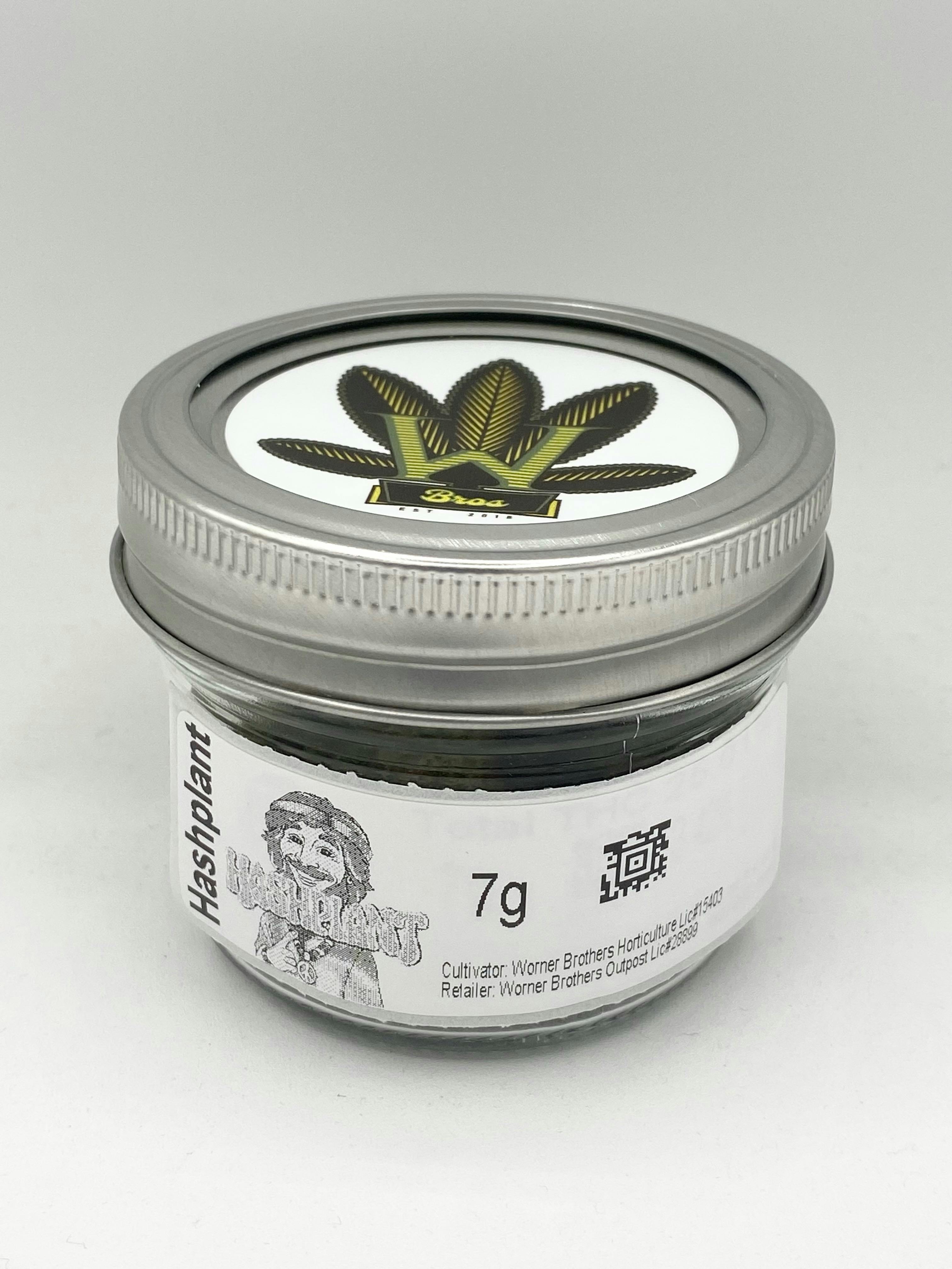 Hashplant - 3.5g cannabis product