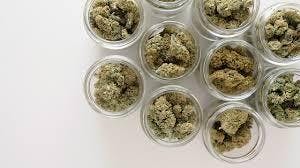 Blueberry Muffins Southernhemp