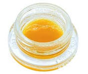 Resin Garlic Gazillionaire Noble