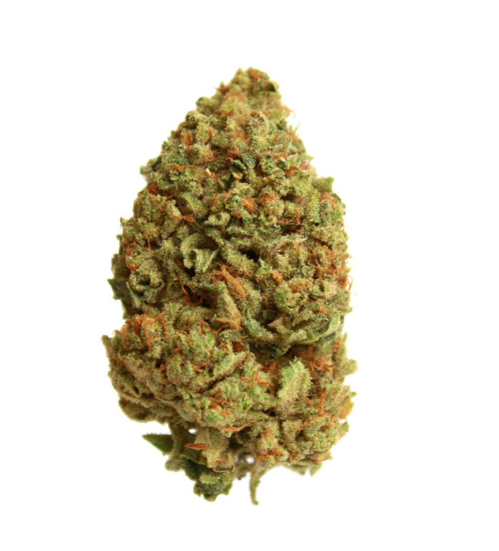Green Dragon (CO) Gold Glue Ball 3.5 g
