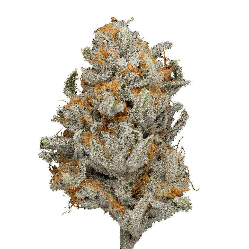 Green Dot Labs Lemon Grinder 3.5 g