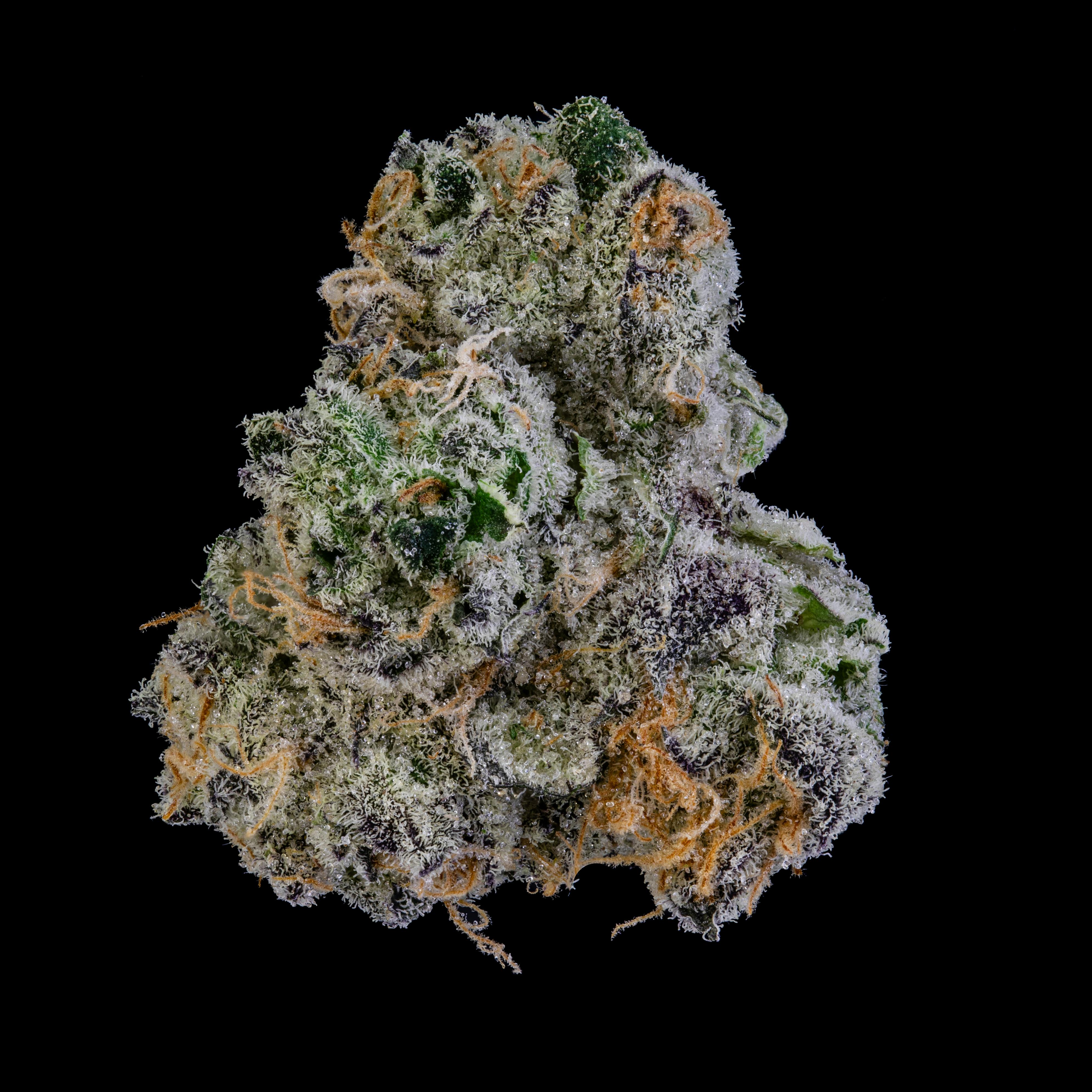 NOBO Smalls Flower 14g - Mule Fuel at JAR Cannabis Co. Dispensary - Carrabassett (Sugarloaf)
