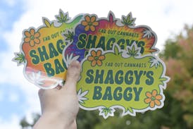 Shaggy's Baggy Large Sticker - Shaggy's Baggy - Logo