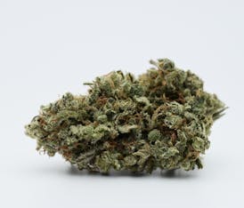 Galactic Jack - Stoney Grove