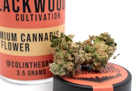 Super Sour Saunders - Blackwood Cultivation