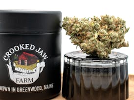Lime OG - Crooked Jaw Farm