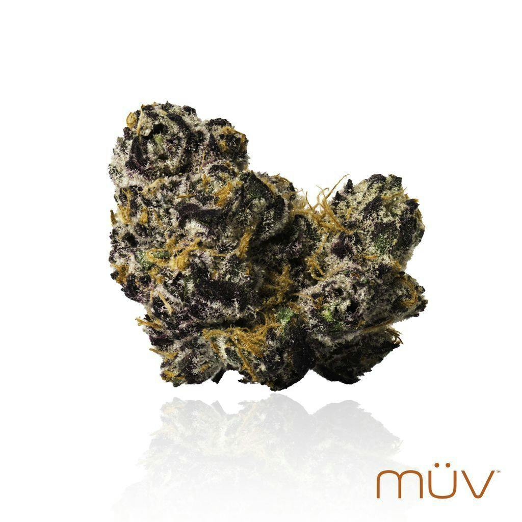 MÜV Black Amber 14g cannabis product