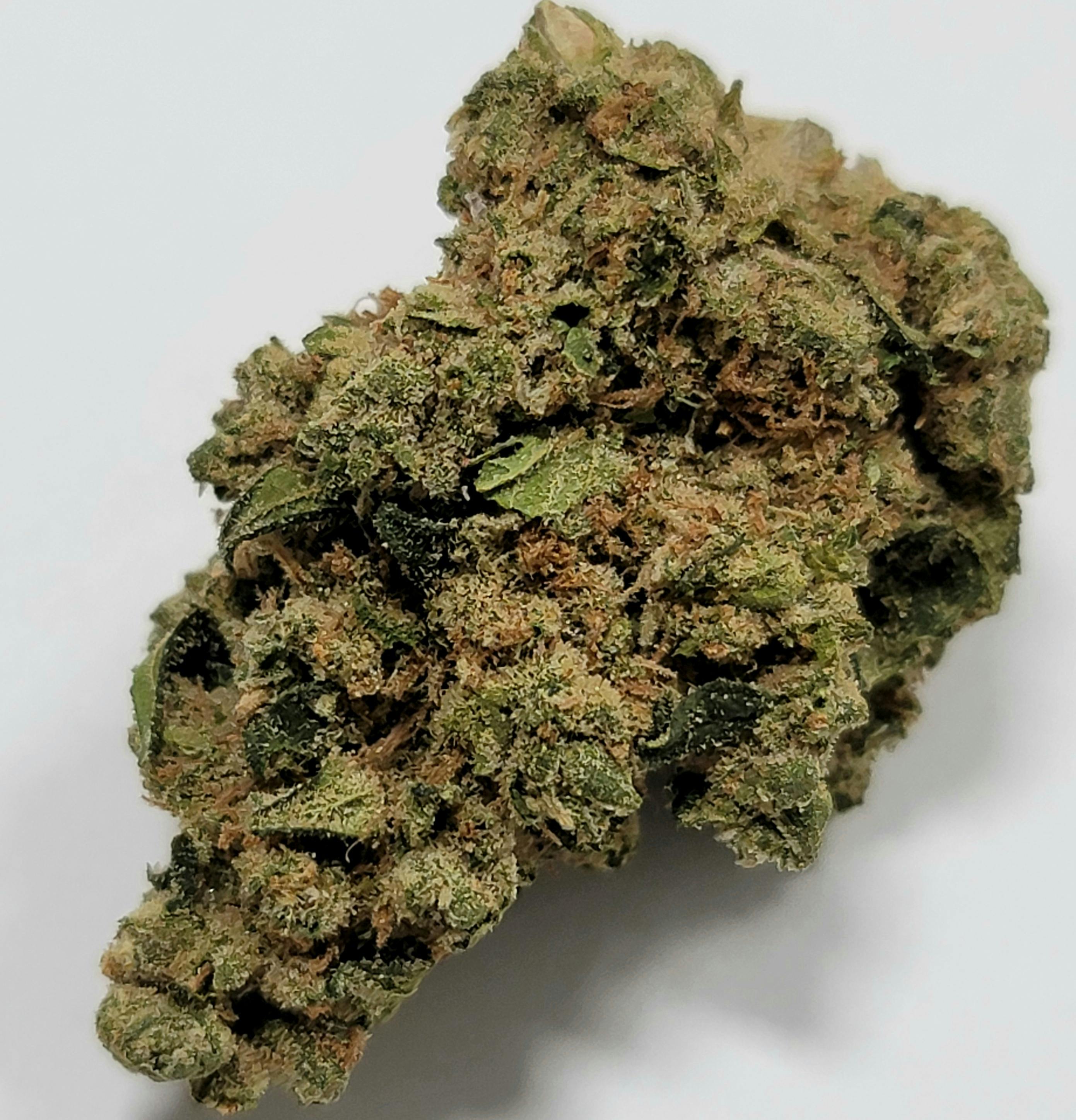 Chocolate OG | Cresco Premium | 3.5g