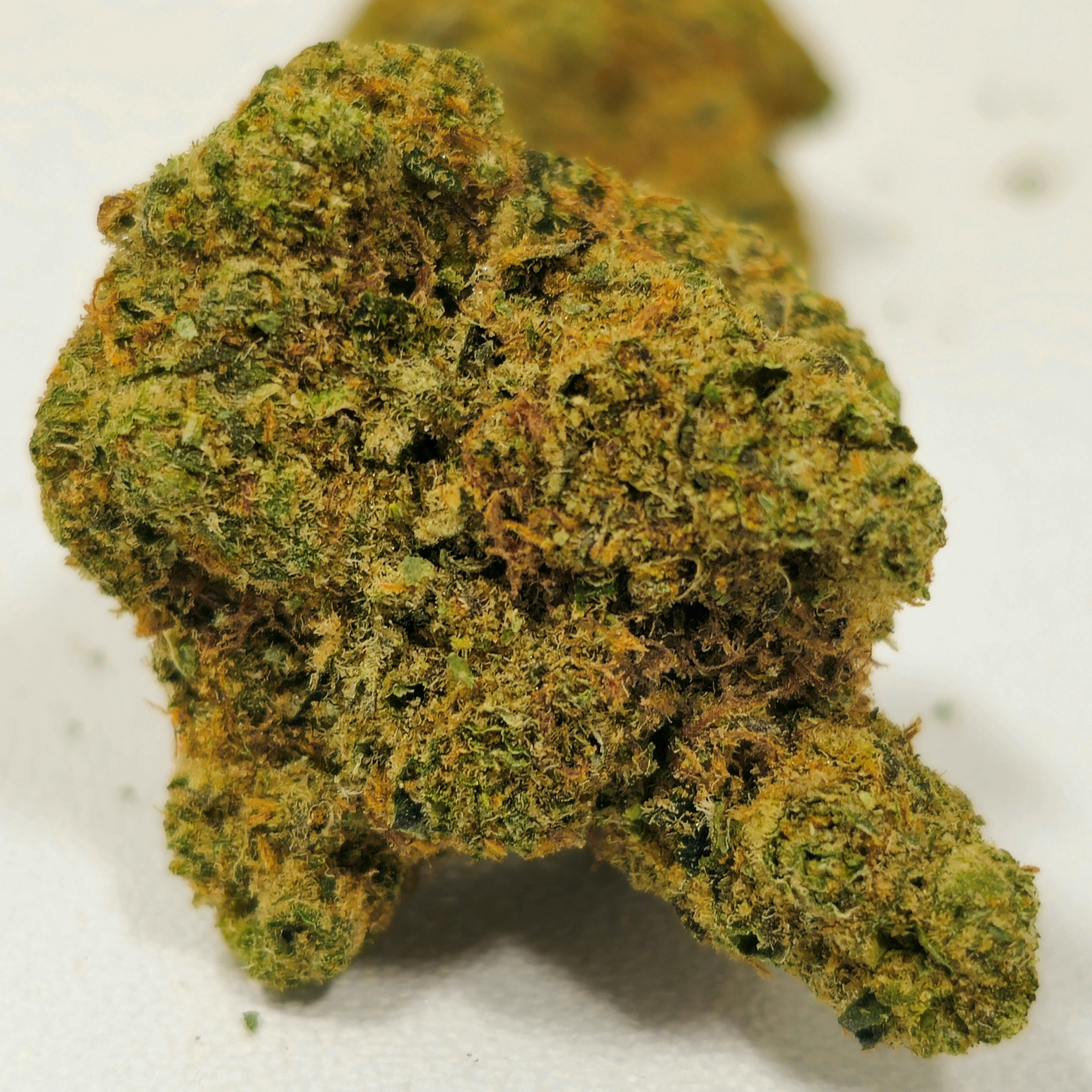 OG Kush | High Supply | Bud | 7g