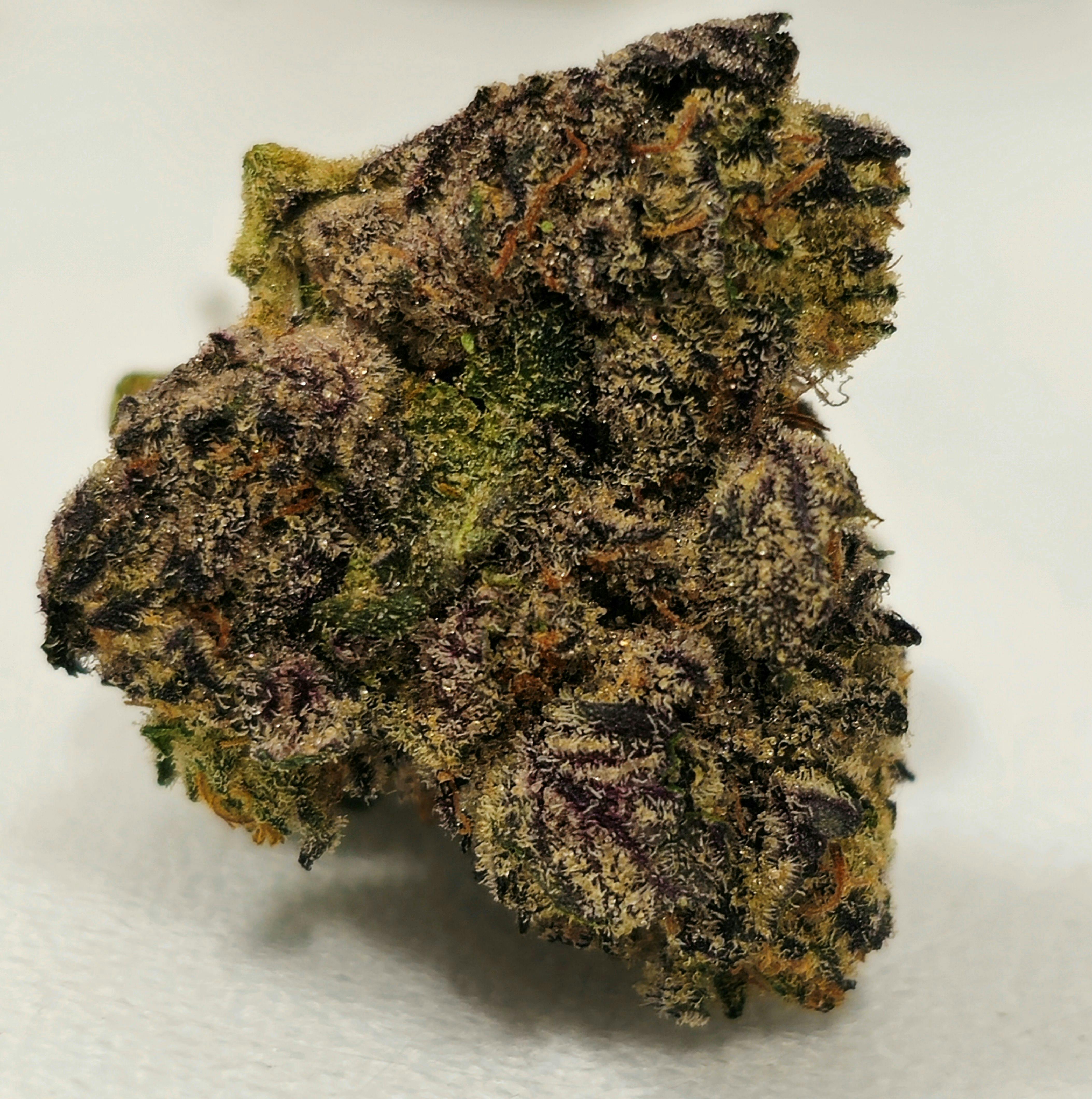 Jokerz Candy | Simply Herb | 3.5g at Dazed Cannabis – Holyoke