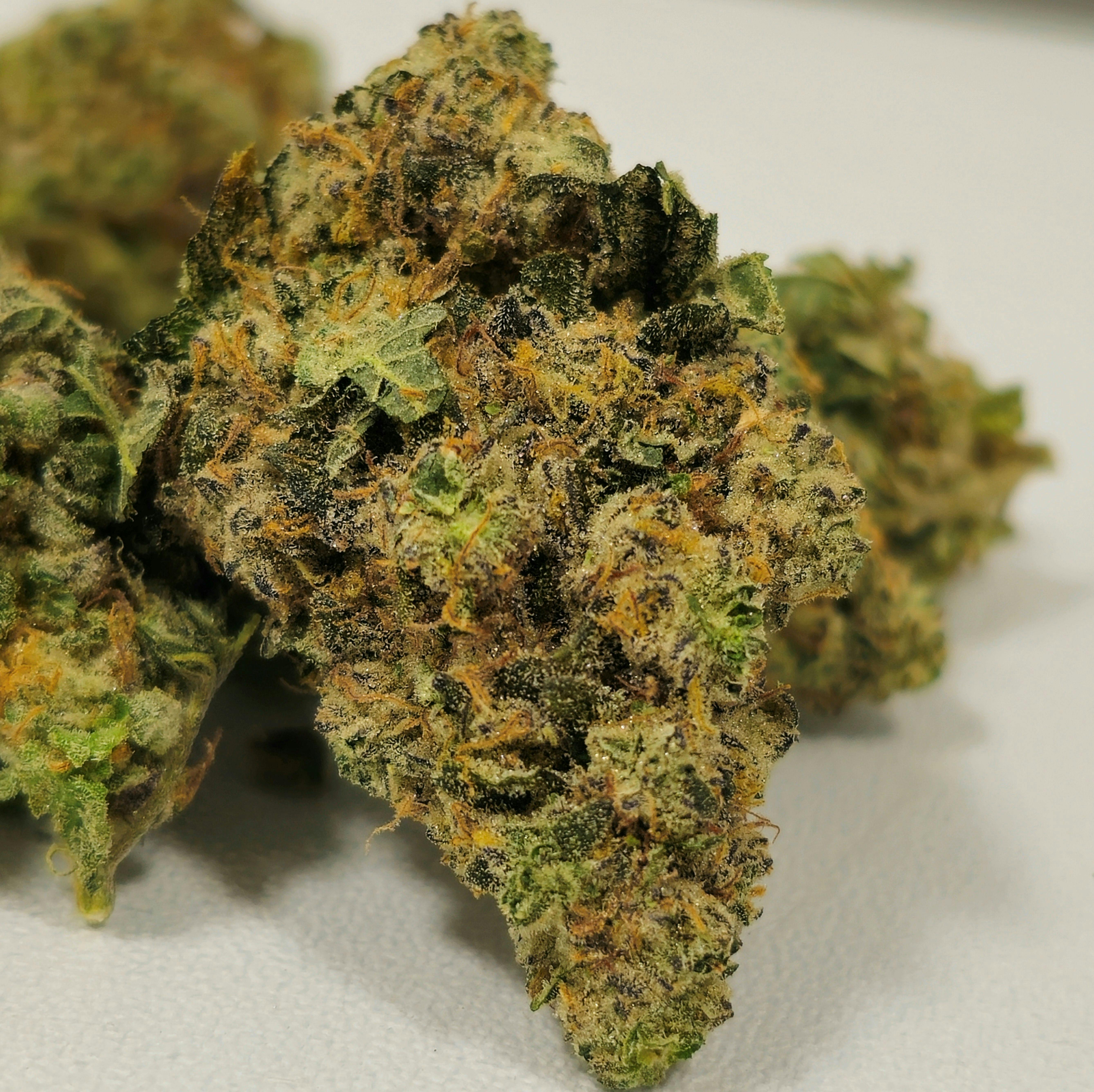 Garlic Cookies | Bud | Ozone | 14g