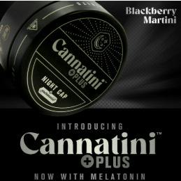 Blackberry Martini | RSO:CBN:CBD:MEL 2:1:1:1 | Gummies | 200mg TAC