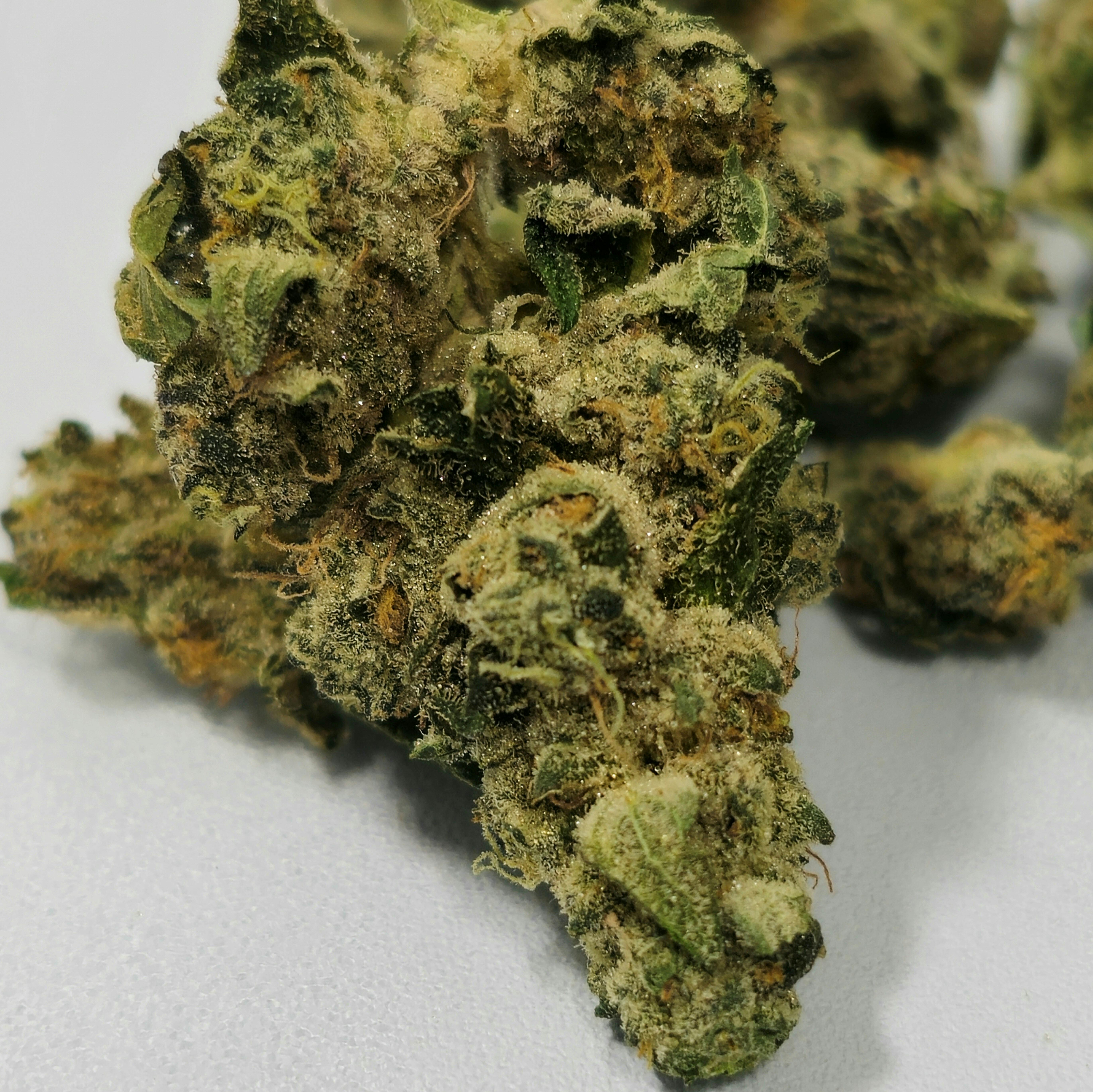 Mother Truffle | High Supply | Buds | 7g