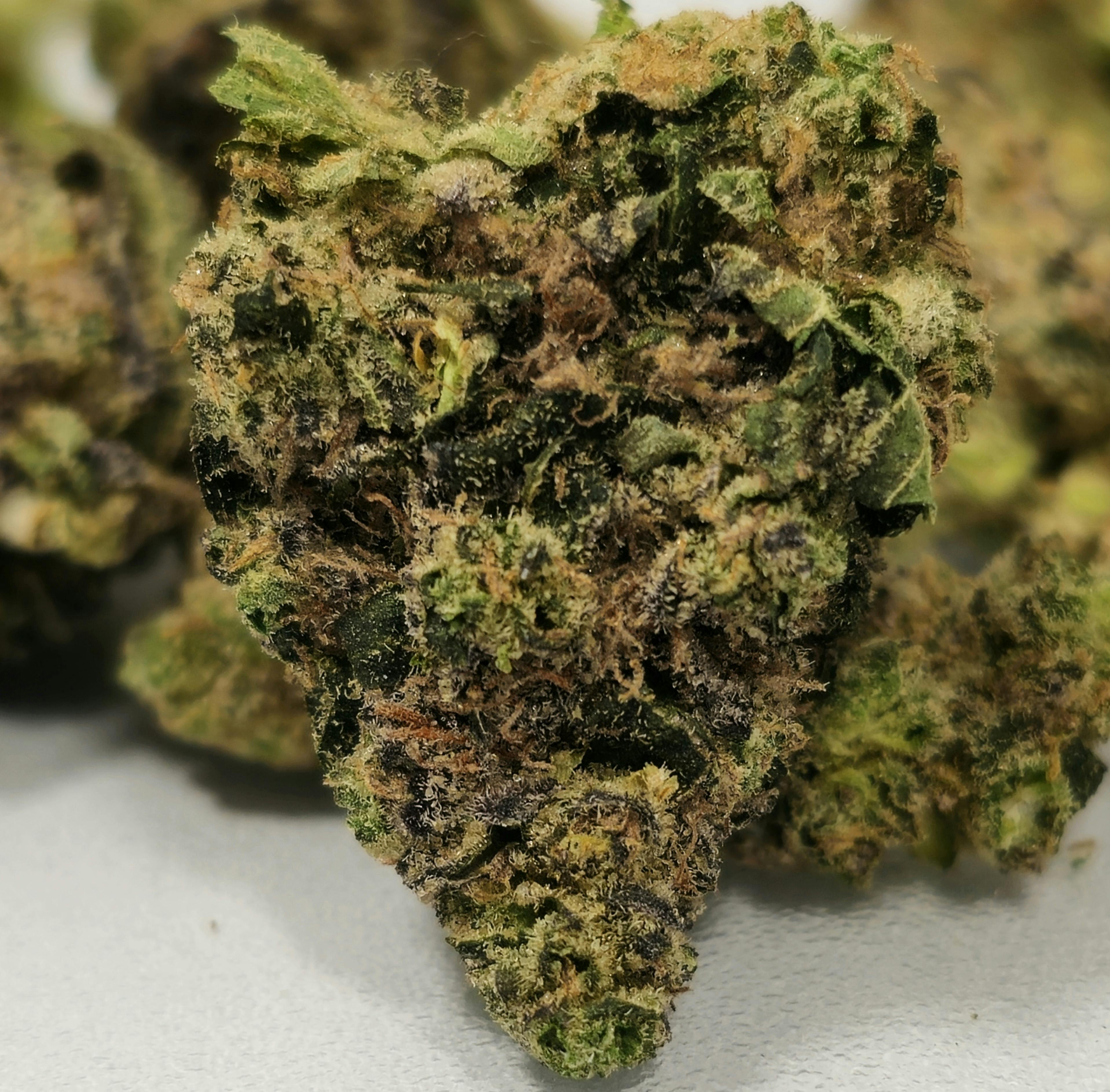 Hashburger | Ozone | Buds | 3.5g