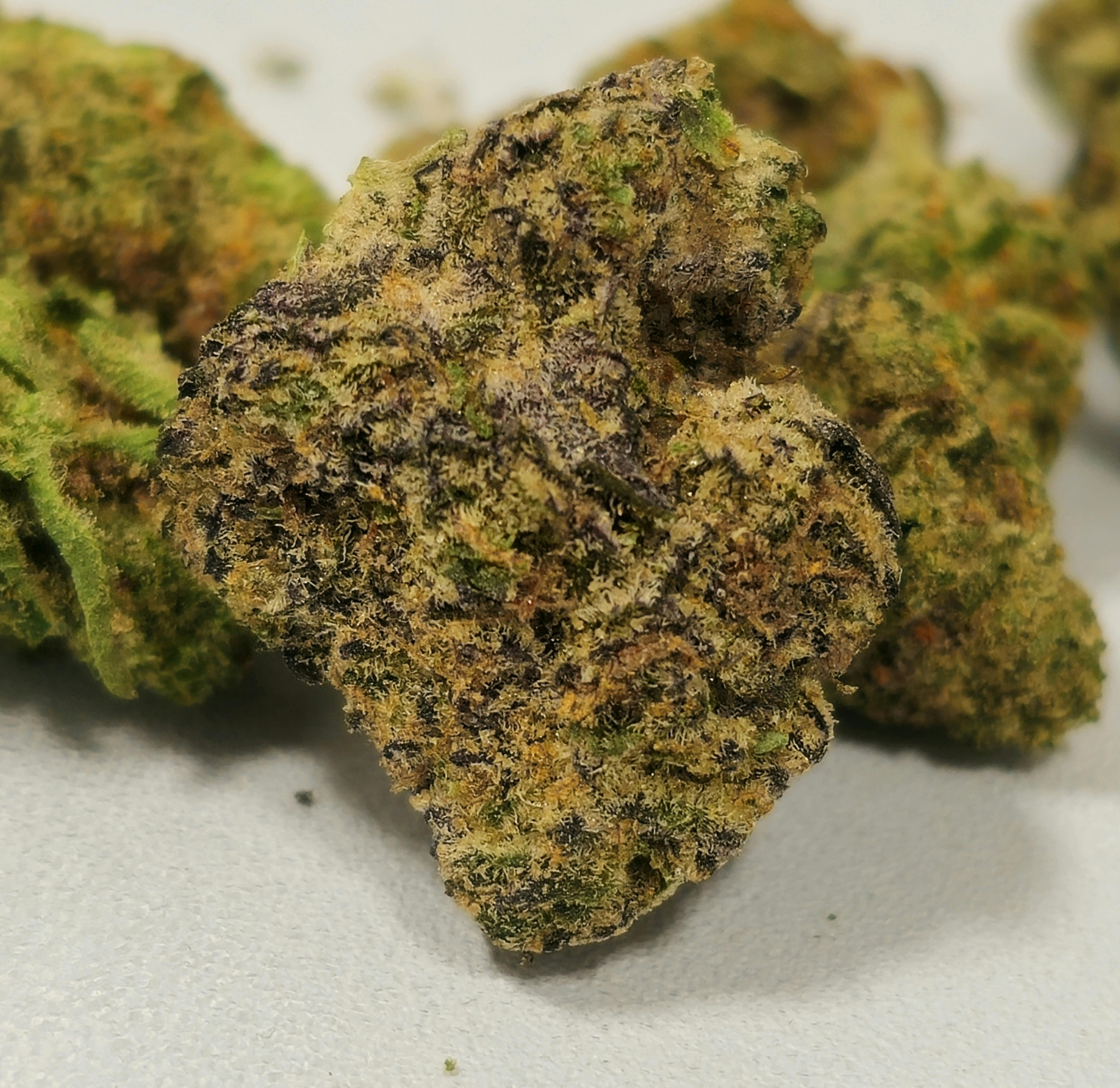 Lemon Skunk x The OG | Old Pal | Buds | 3.5g