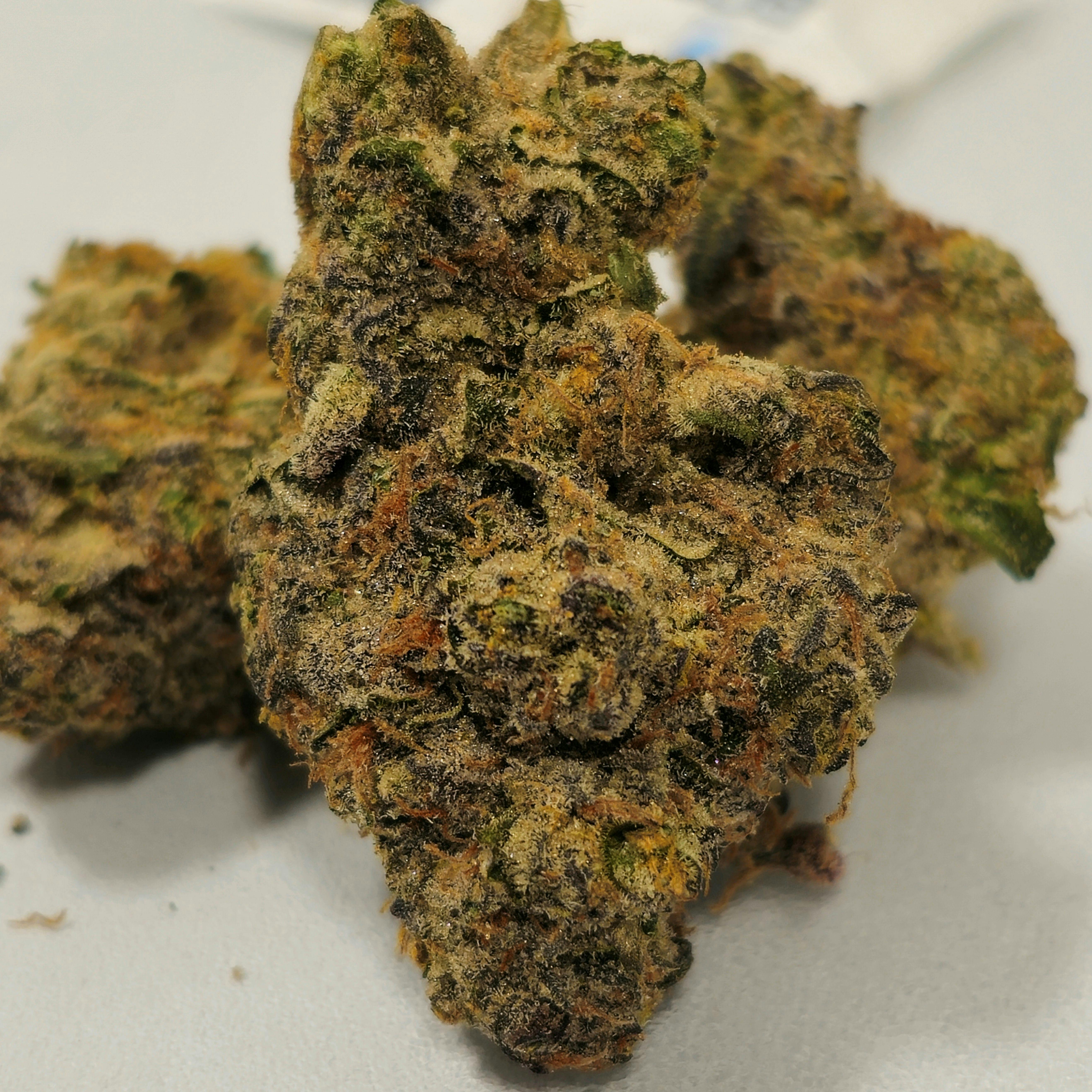 Fiber Optic | Willie's Reserve | 3.5g