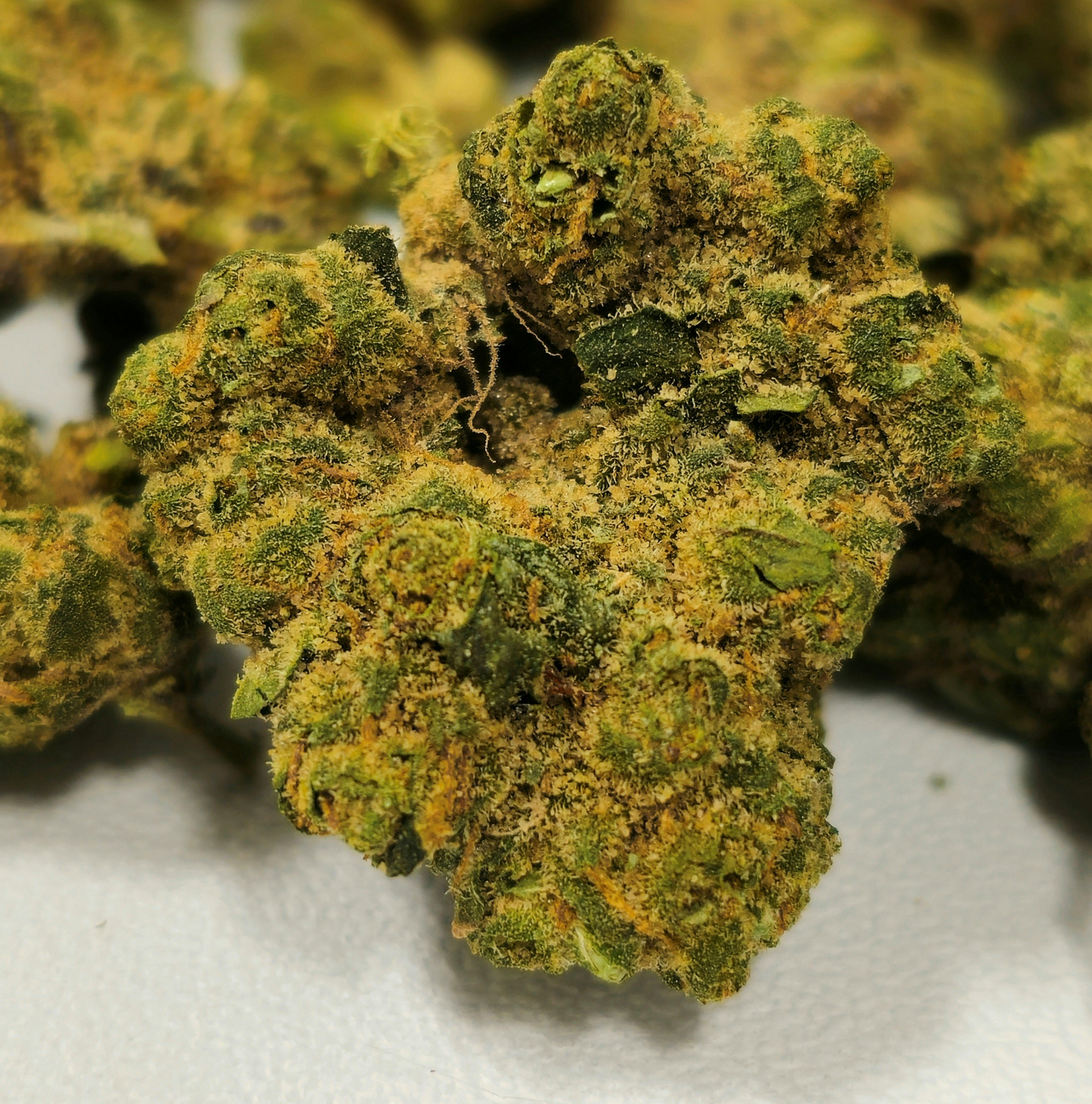Apples & Bananas x Grape Gas | Old Pal | Buds | 28g