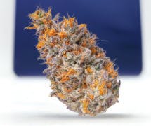 Artificial Red | CMS | Buds | 3.5g