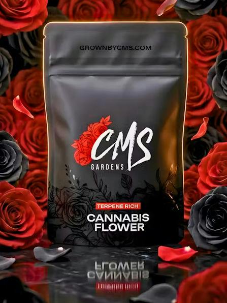 Peach Ringz | CMS | Bud | 3.5g