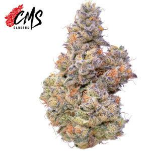 Blueberry Breath | CMS | Buds | 3.5g