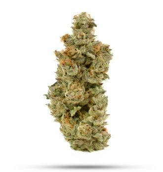 Old Bliss | CMS | Buds | 3.5g