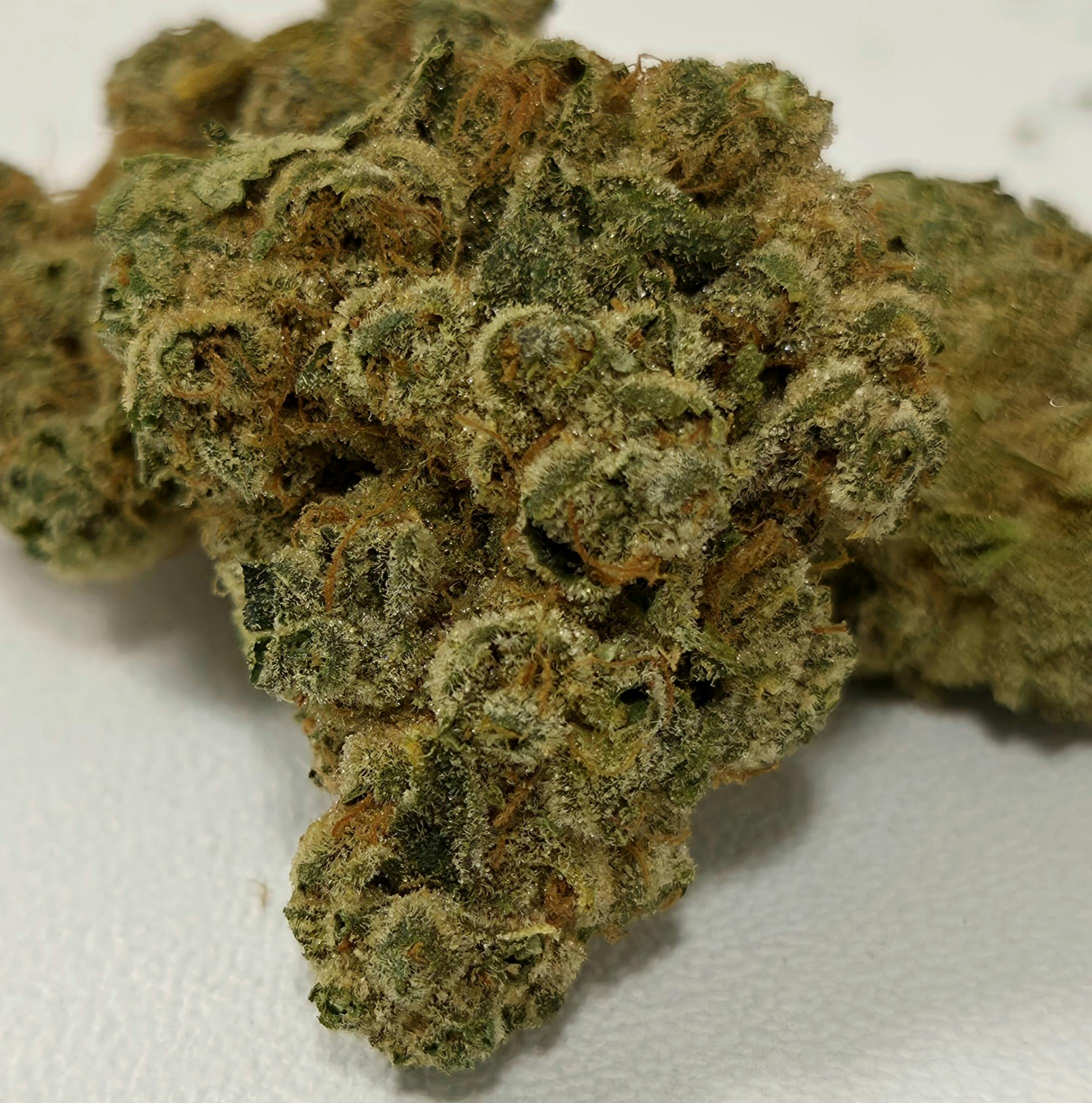 Clam Shack Chronic | Ozone | 3.5g