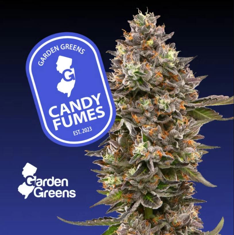 CANDY FUMEZ (BIG BUDS) (3.5G)