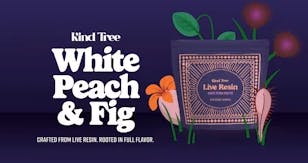 WHITE PEACH & FIG (LIVE RESIN) 10PK (100MG)