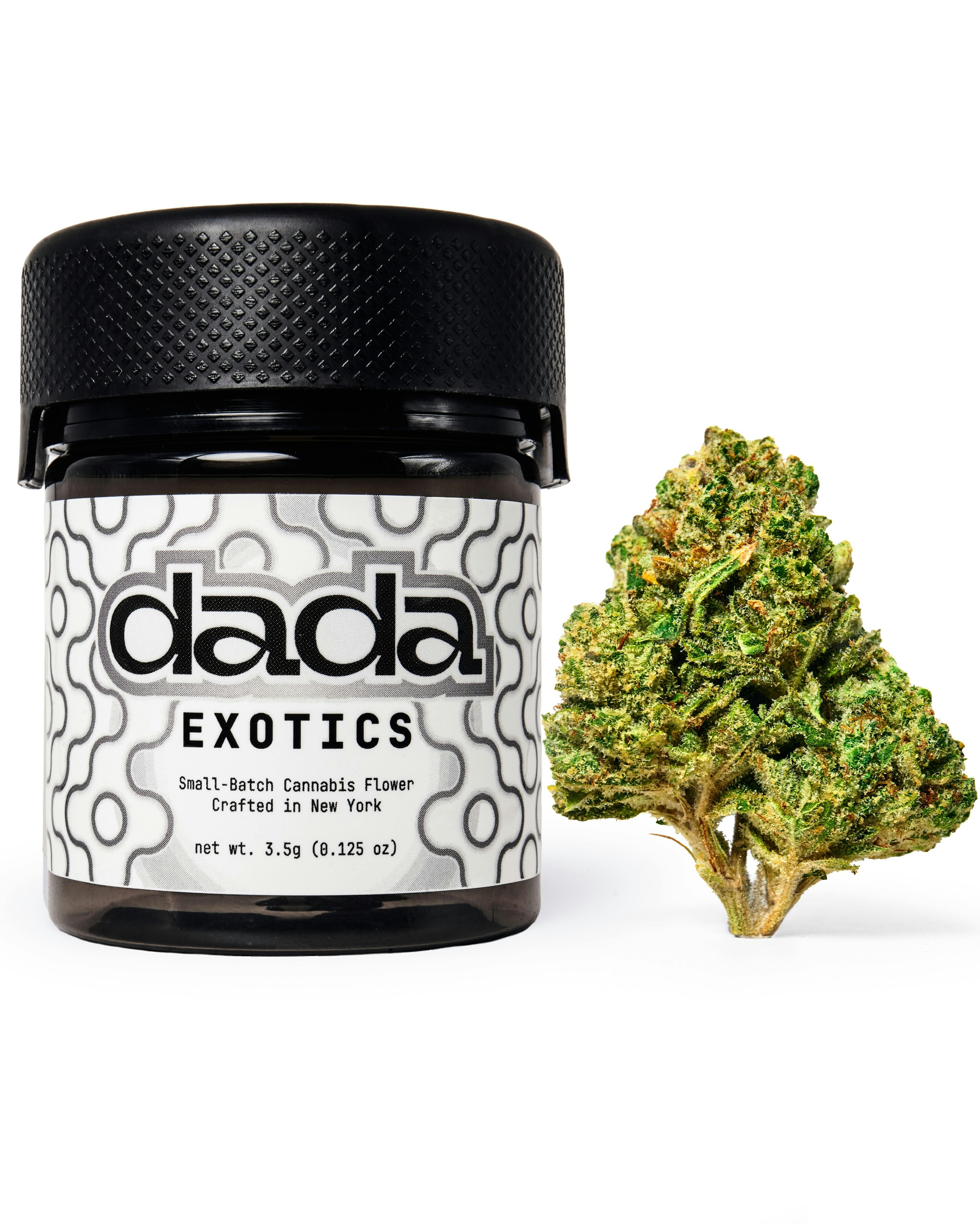 Dada Exotics - Gorilla Glue #4