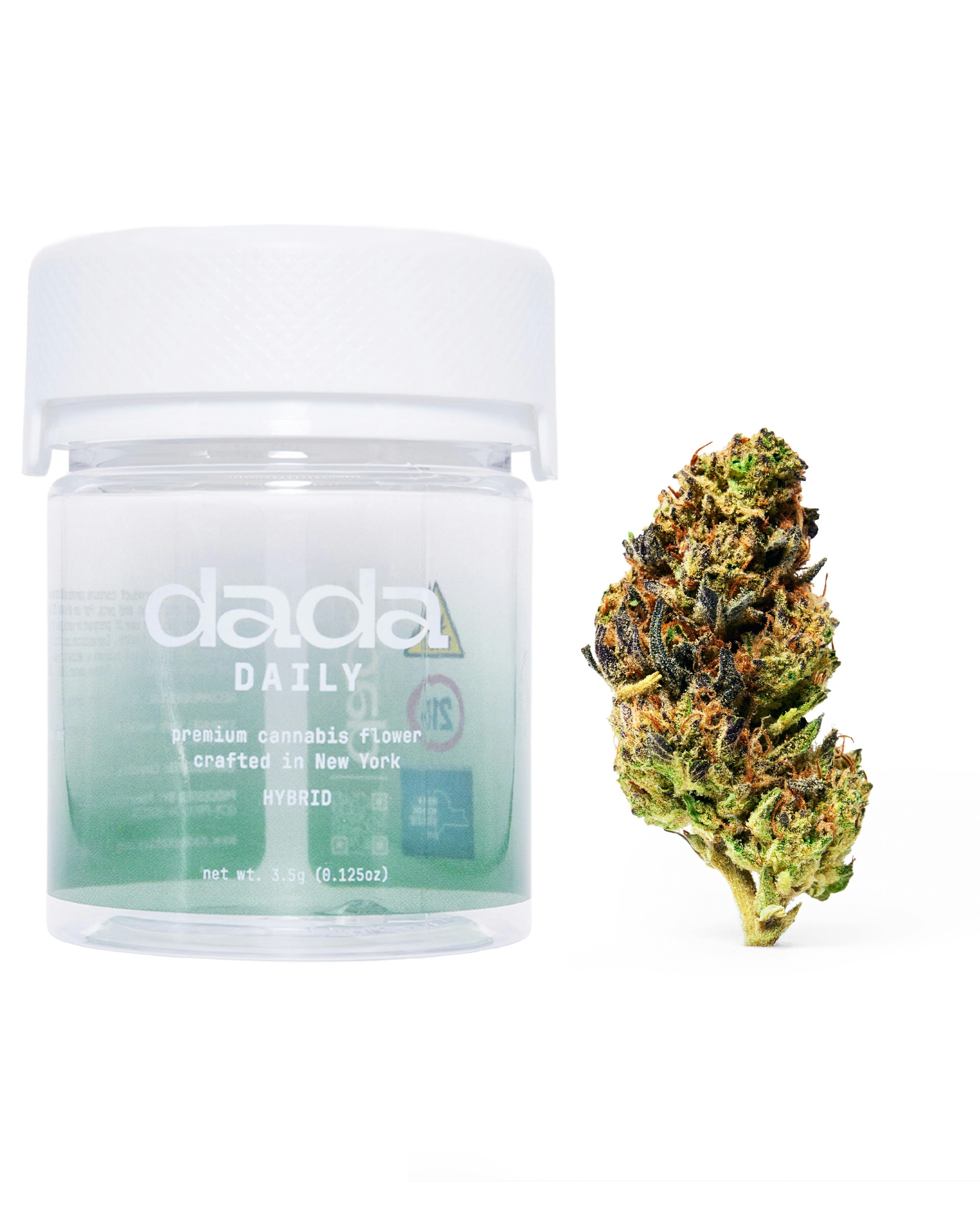 Dada Exotics - Peach RIngz - 3.5