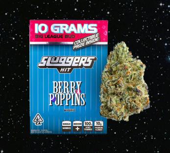 Sluggers - Berry Poppins