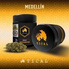 TICAL | Flower | Medellin