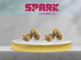 Gelato 41- V'lozio - Flower - $40 OTD